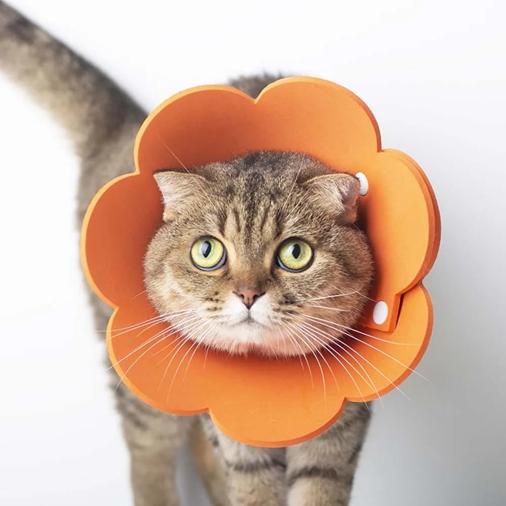 Pets Protective Collar EVA Soft Flower Shape Anti-lick Cats Dogs Wound Healing Protection Cover Anti-bite Animal Supplies