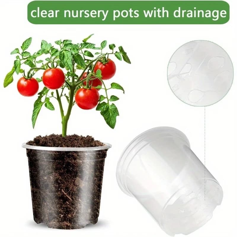 Transparent Plant Vases, Plastic Containers with Draining Holes, Seed Vases and Flowers