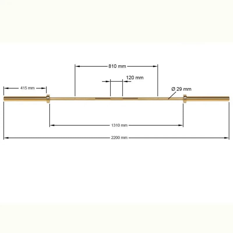 Men's weight set, free weight plates, 20 kg bar, golden titanium bar