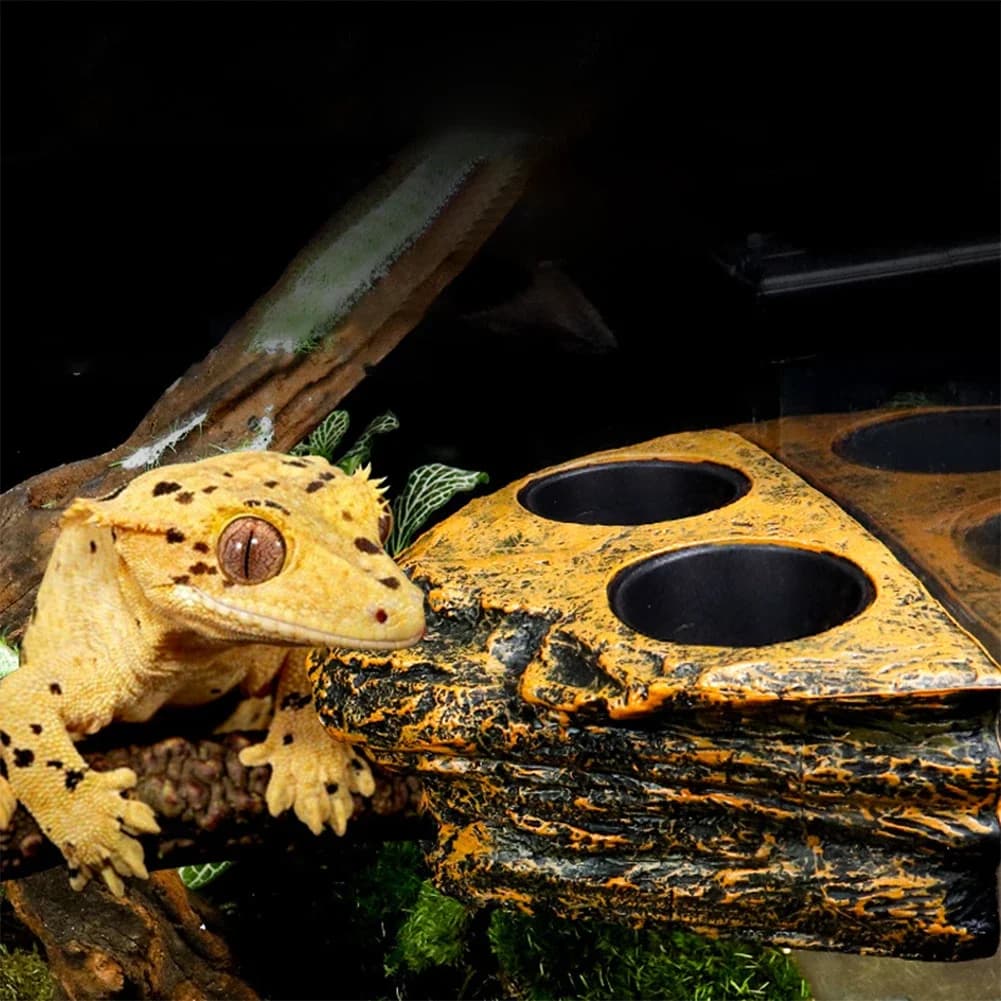 Magnetic Reptiles Amphibians Feeding Ledge Hanging Food Water Dish Feeding Bowl For Gecko Lizards Tree Frogs Chameleons