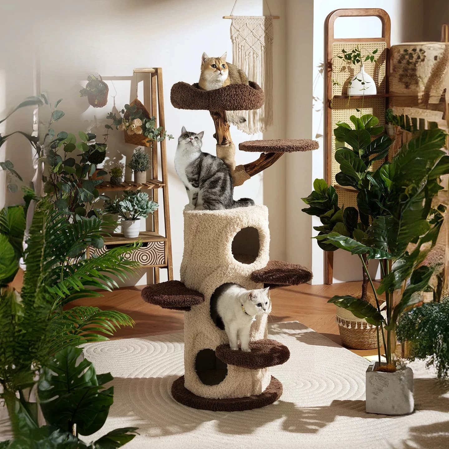 Accessori e Giocattoli di Lusso per Torre per Gatti, Cuccia, Lettiera e Decorazioni per la Casa