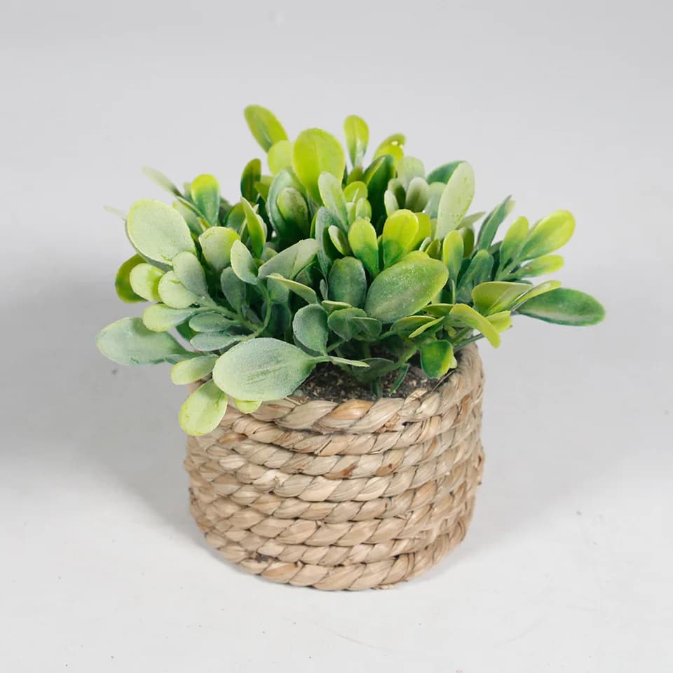 Green Artificial Potted Plant 11cm Eucalyptus Grass Simulated Potted Plants Plastic Leaf Woven Artificial Plants Home Decor