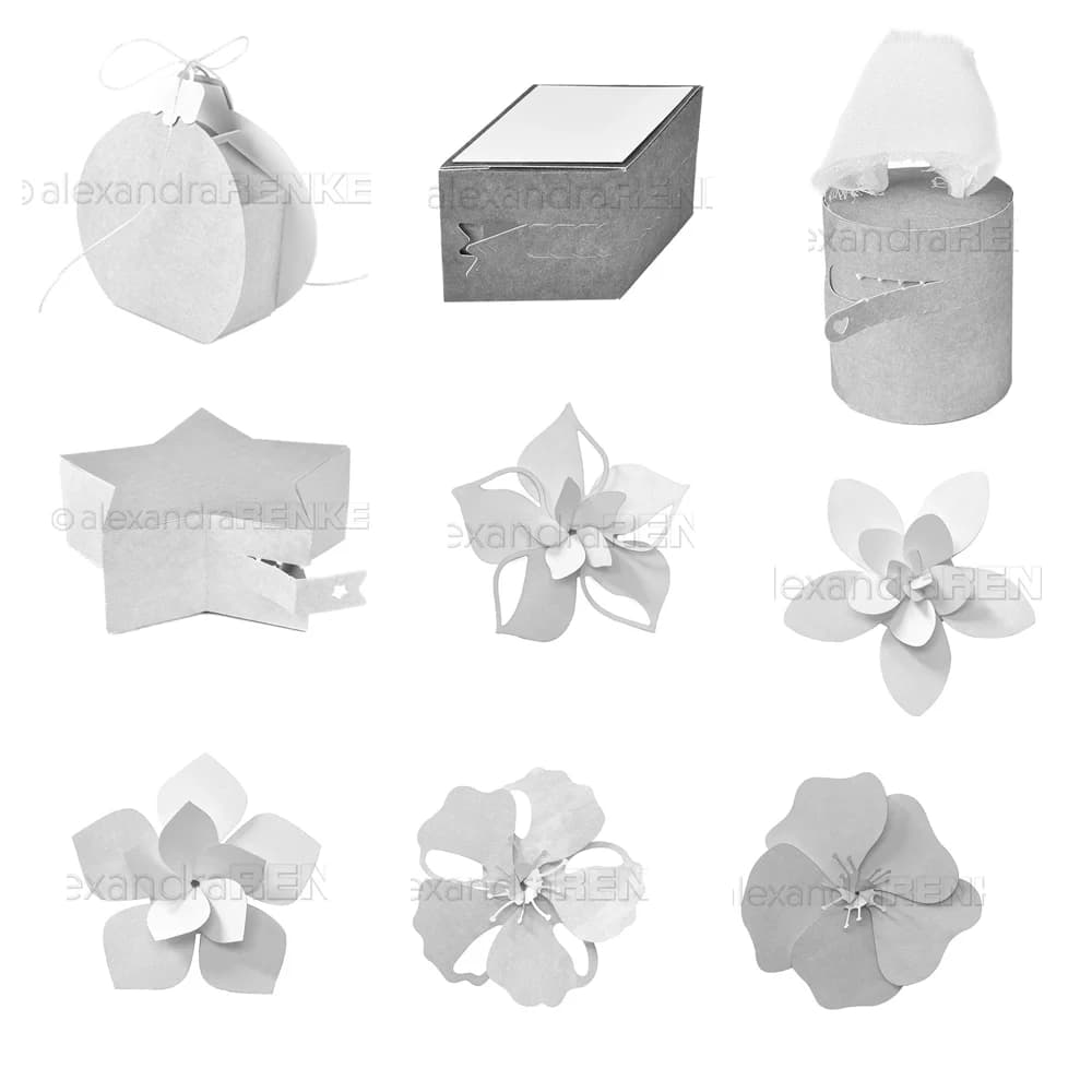 Piggy Craft Metal Strip Cutting 3D Mold Flower Box series Scrapbook craft paper knife molding knife stencil dies