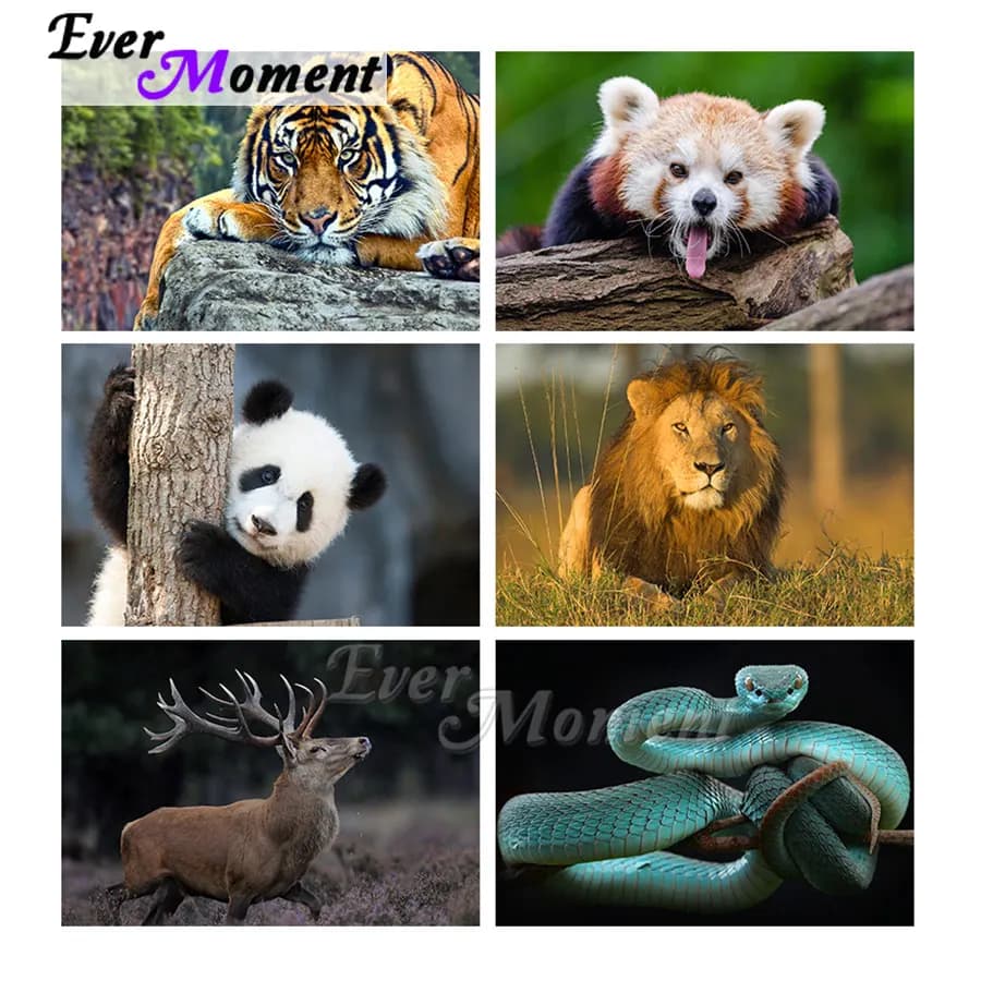 Kit punto croce mosaico immagine strass decorazioni per la casa protezione animale tigre serpente leone mai momento pittura diamante ASF2353