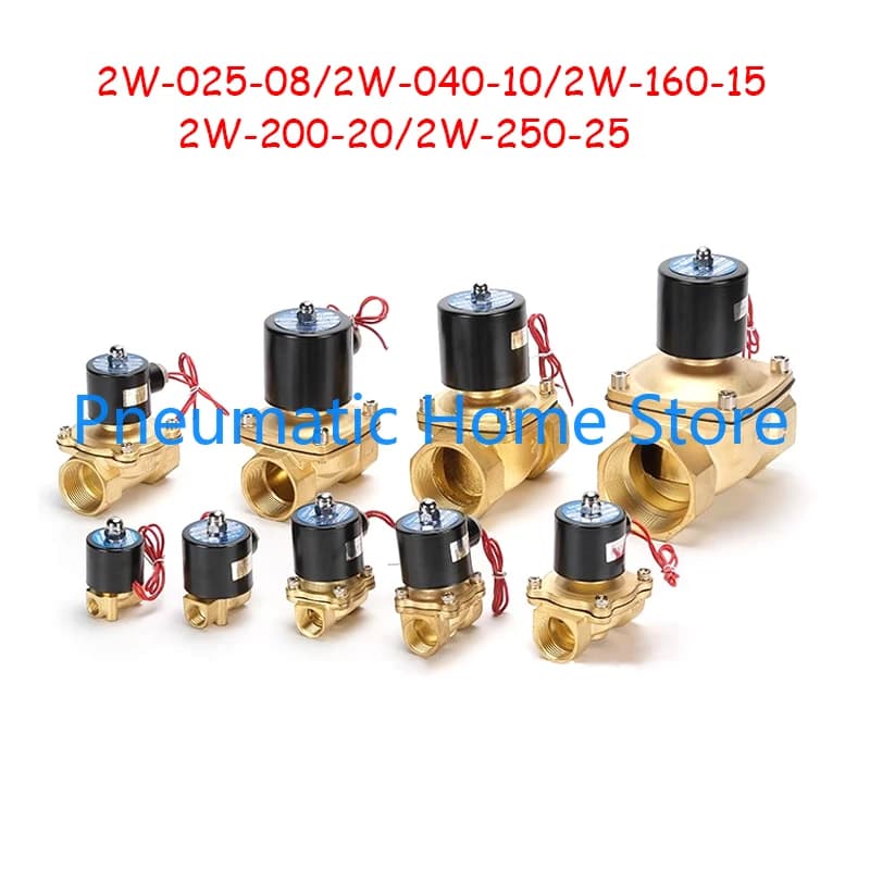 Elettrovalvola normalmente chiusa Valvola acqua placcata in rame 2W-025-08 2W-040-10 2W-160-15 2W-200-20 2W-250-25 AC220V DC24V DC12V