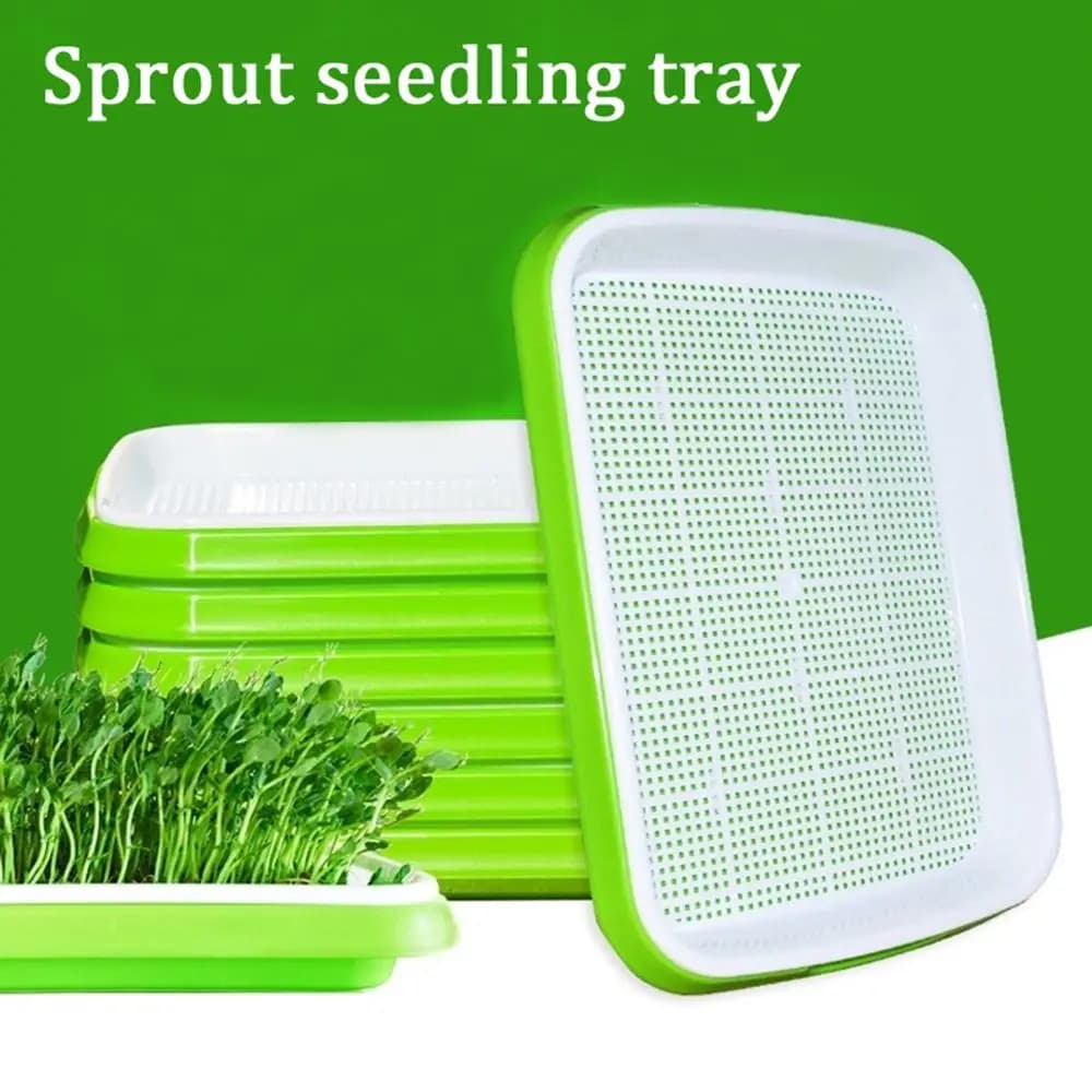 Tray for Hydroponic Cultivation without Sound for Interior and Exterior, Vase for Semina, Tray Germinator, Jar for Germogli, Container for Plants