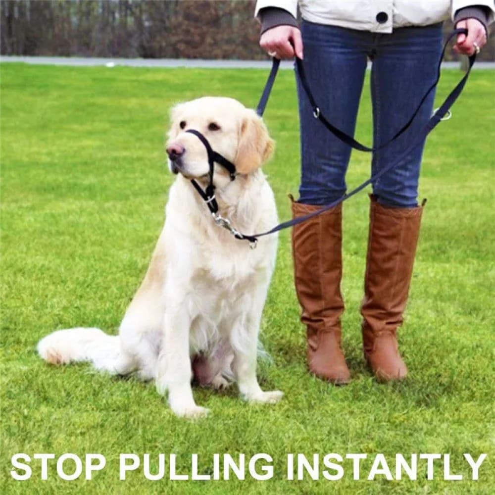 Short Snout Dog Head Harness Anti Pull Training Nose Loop Leash Gentle Control Muzzle For Pug Bulldog Walking Pet Supplies