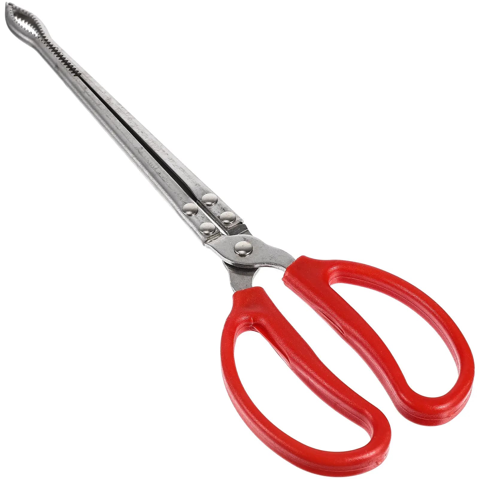 Pinza da pesca multifunzione con punte in silicone per calamari, polpi, anguille e granchi di fango