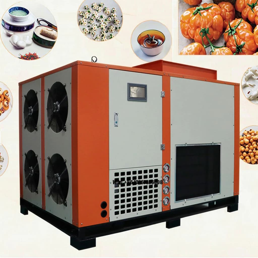 Forno Commerciale ad Aria Calda per Essiccazione di Datteri, Patate, Noci, Frutta Secca - Sistema Industriale di Disidratazione