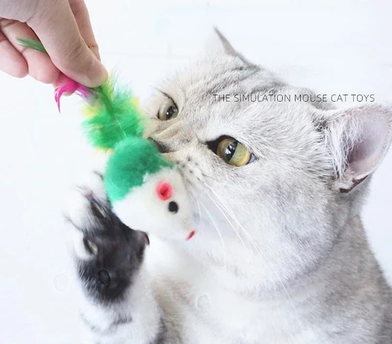 Giocattoli per Gatti in Morbido Pile a Forma di Topo, con Piume Colorate, Divertenti Giochi Interattivi per Gatti