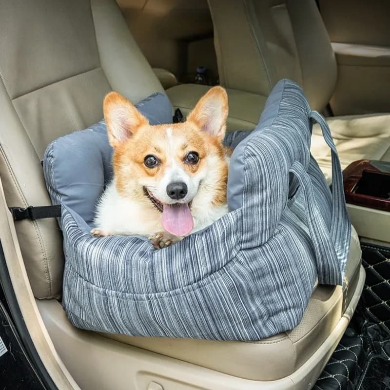 Nuovo 2026: Cuccia da Auto per Cani Traspirante e Confortevole, Universale, da Viaggio, Portatile, Coprisedile per Cani