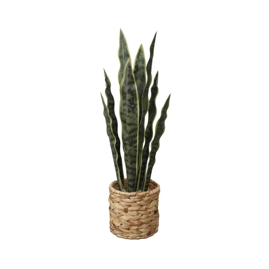 Flora Bunda 24.3" Artificial Snake Plant in Rattan Basket