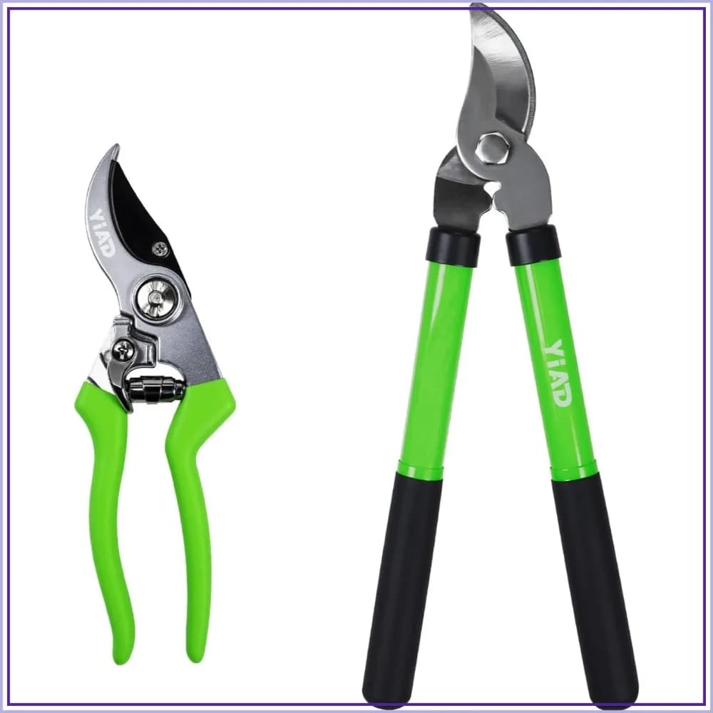 Garden Scissors Set with Cesoie Bypass and Troncarami, Light Scissors for Gardening, Potatura Rose, Refining Shrubs, Removing Dead Flowers