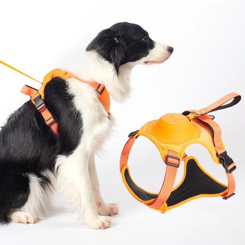 Retractable Dog Leash Chest And Back Integrated Anti-Escape Dog Walking Rope Polyester Material Medium And Large Dogs Pet Har...