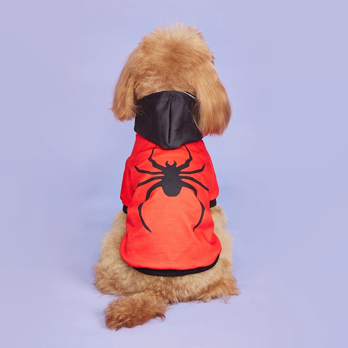 Pet Dog Cat Halloween Hoodies Scary Spider Shirt Dog Sweatshirts Apparel Comfortable Pet Turtleneck Puppy for Halloween Holiday