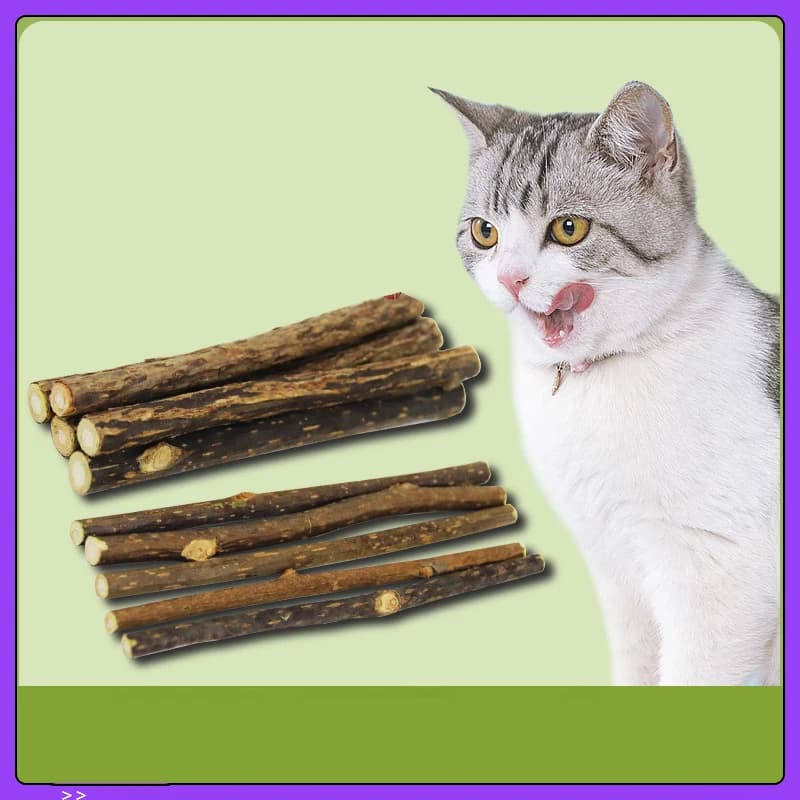 Naturale Polygonum Stick Giocattolo per gatti Asta molare per animali domestici Tirare il morso Actinidia Polygama Ramo Giocattolo per gatti Denti puliti Additivo Gioco gratuito