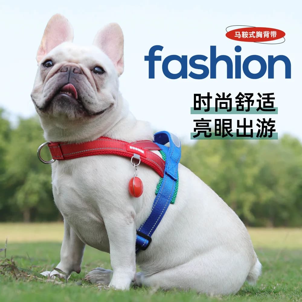 Imbracatura per cani larga e imbottita, guinzaglio anti-escape e anti-trazione, appositamente progettata per razze a muso piatto come i Bulldog Francesi