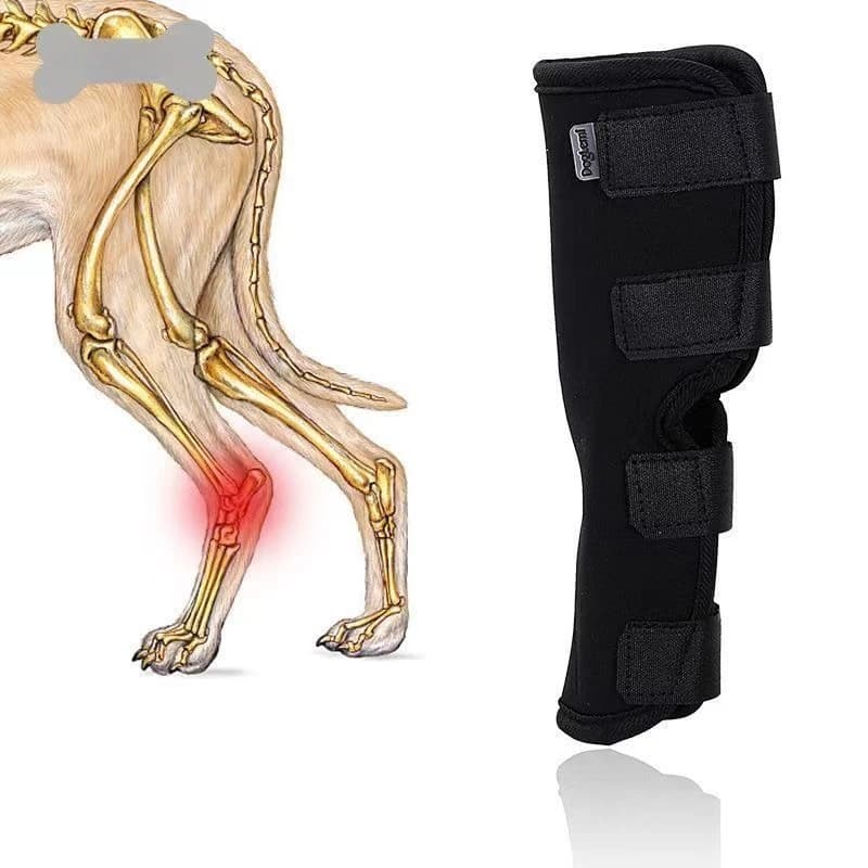 1 Pezzo Supporto per Ginocchio per Animali Domestici, Fascia per Articolazione della Caviglia per Cani, Protezione per Recupero da Lesioni alle Zampe, Copertura Protettiva per Articolazioni di Cani e Gatti