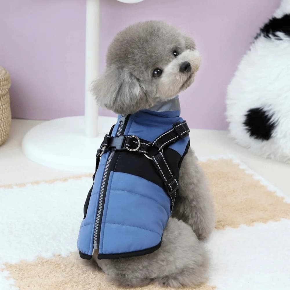 Giacca Calda Regolabile per Cani con Cerniera, Impermeabile e Antivento, Abbigliamento per Cuccioli con Imbracatura, Gilet Imbottito Caldo per Animali Domestici per Climi Freddi
