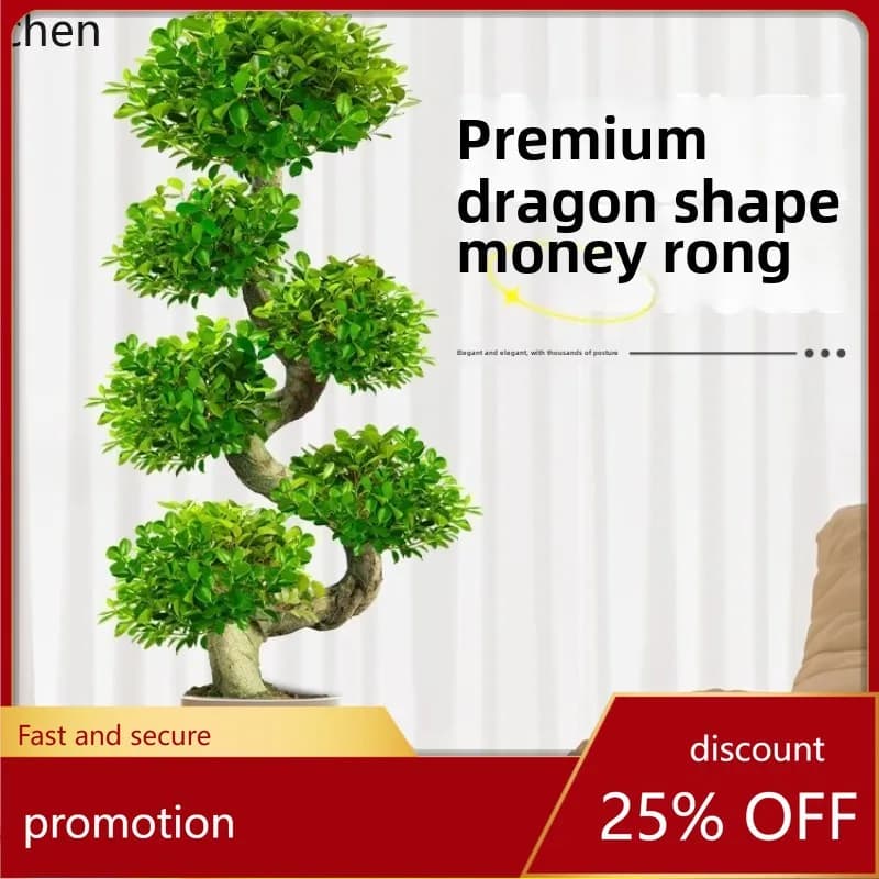 HT Money Ficus Big Potted Plant Bonsai House Moving New Home Modeling Green Plant High-end Large Lucky Money Tree