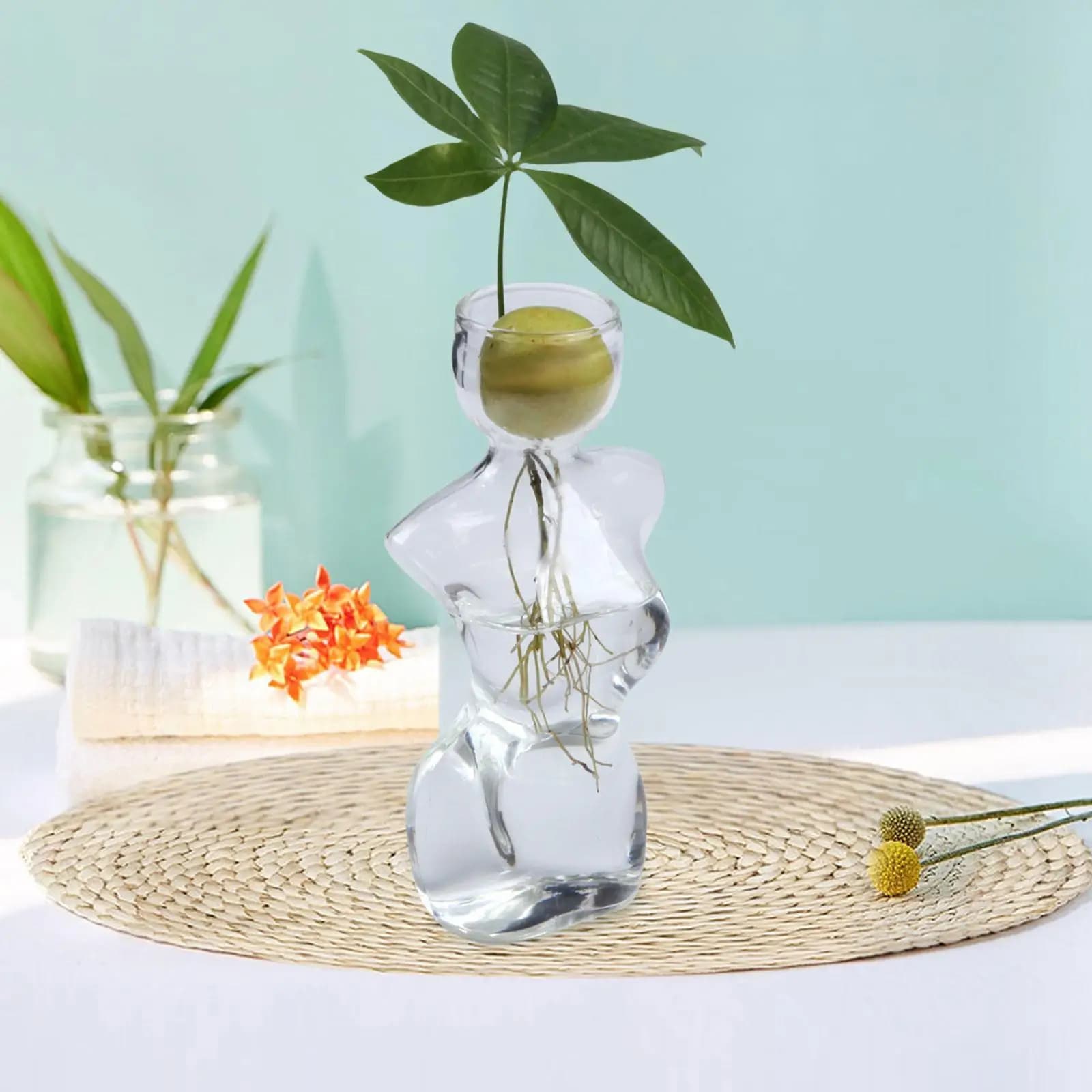 Small Avocado Seed Starter Pot For Gardeners Table Vase Flowers Plant Vase Glass Vase