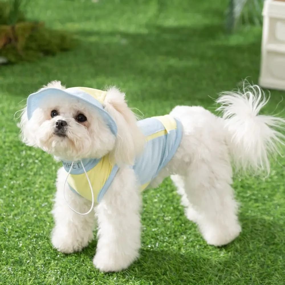 Gilet Protettivo Solare per Animali Domestici Primavera Estate, Comodo e Traspirante, Maglietta a Rete Senza Maniche per Cuccioli con Cappello e Borsa Refrigerante, Pullover per Cani