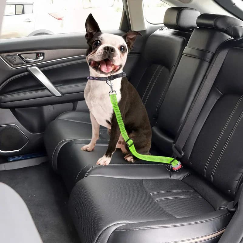 Dog Seat Belt Car Seatbelt Harness for Dogs Adjustable Durable Nylon Reflective Bungee Fabric Tether Car Travel Supplies for Pet