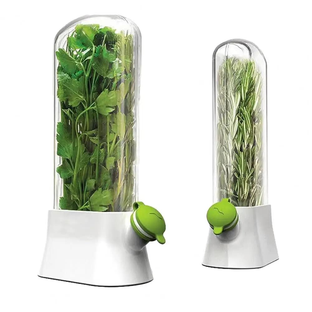 Refrigerator Herb Storage Box Upright Cilantro Storage Container Parsley Preservation Box Keeps Herbs Fresh Longer