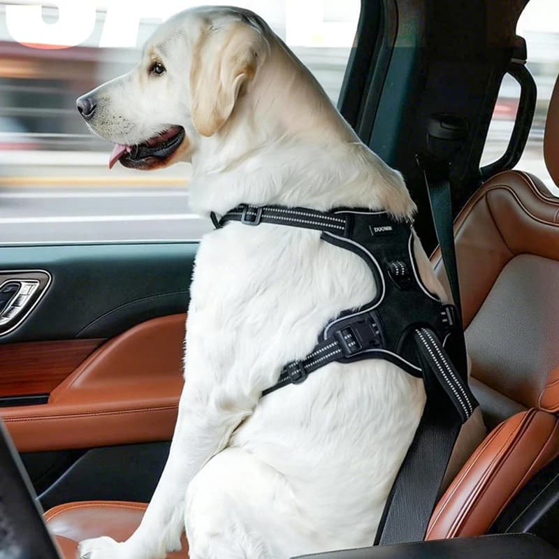 Nuova Imbracatura per Cani da Auto Anti-Salto Finestra, Gilet Regolabile Anti-Trazione per Animali Domestici, Cintura di Sicurezza Robusta con Guinzaglio per Cani di Taglia Media e Grande
