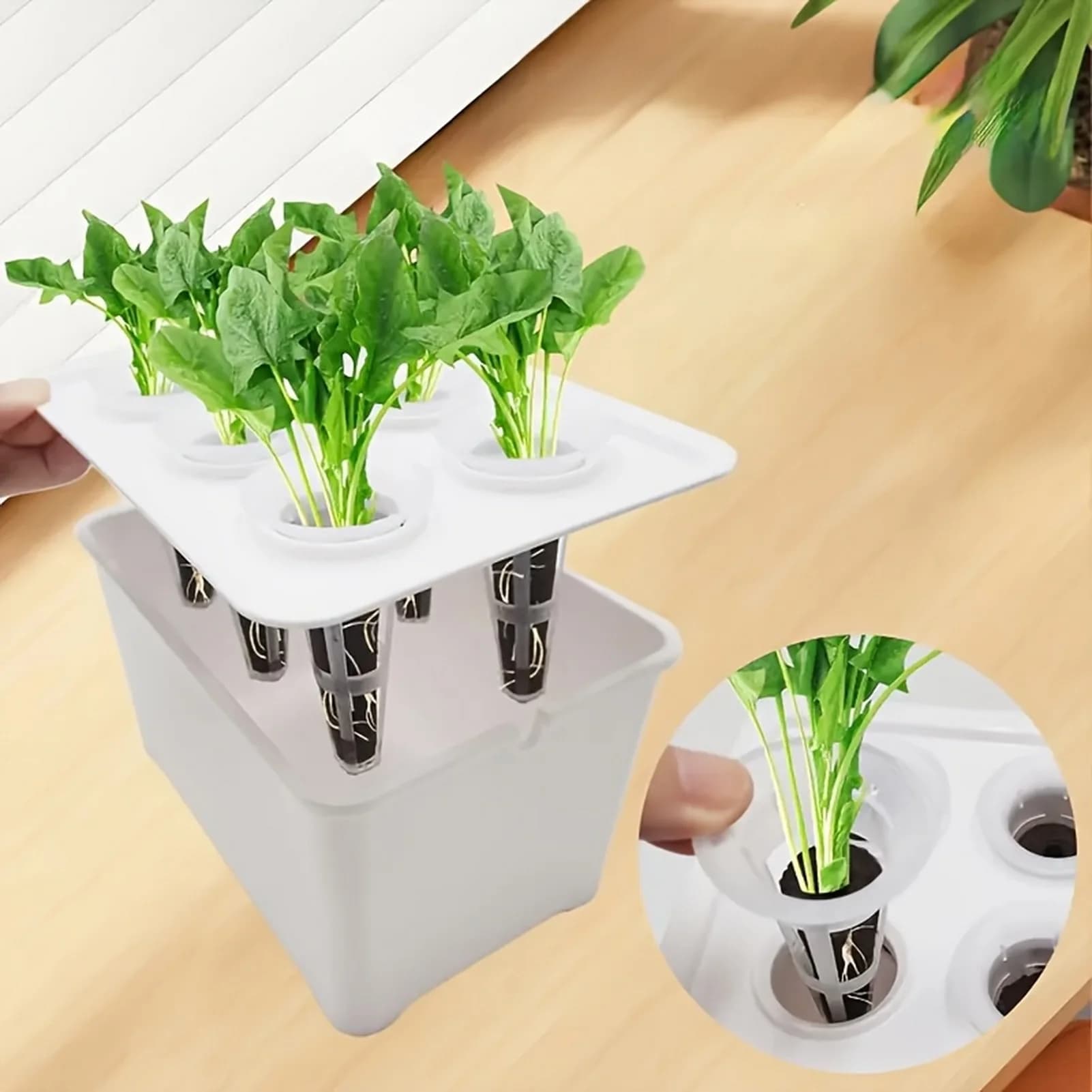 Professional Hydroponic Grower Box Universal Hydroponic System Planting Container For Propagation Plants Vegetable & Fruit
