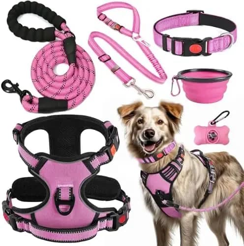 Kit di Addestramento per Cani: Set LOBEVE con Imbracatura Anti-Trazione, Collare e Guinzaglio