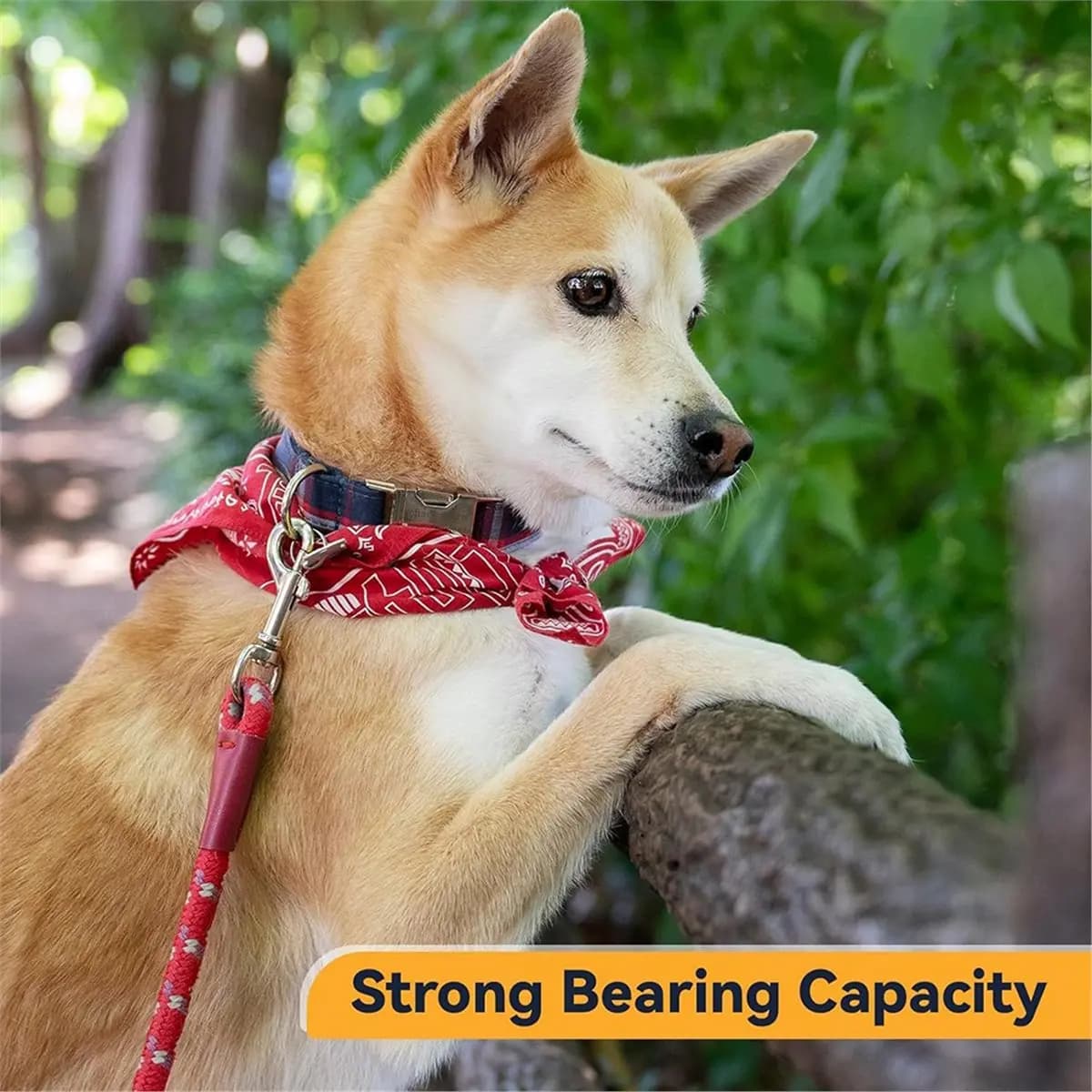 Budget-Friendly-30 Pcs Heavy Duty Swivel Snap Hooks, 2.75" Zinc Alloy Dog Leash Clips, for Keychains, Pet Leashes & Outdoor Gear