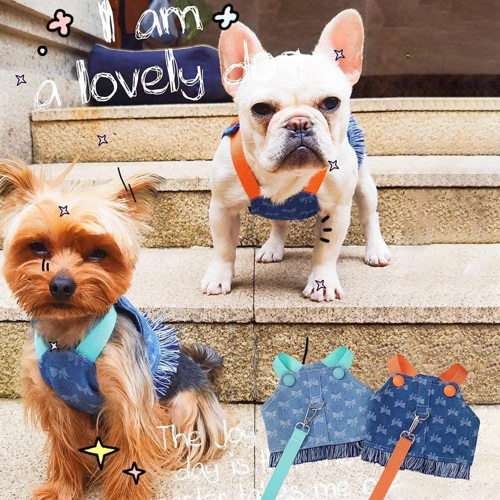 Set Pettorina e Guinzaglio in Denim per Cani, Pettorina con Stampa a Fiocco e Frange per Cani Piccoli, Adorabile Outfit per Cuccioli per Passeggiate e Uso Quotidiano