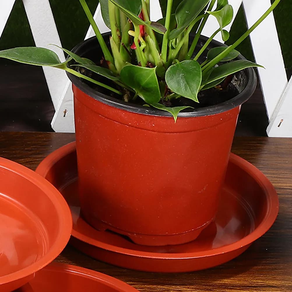 Set of 10 Round Plastic Spools for Indoor Plants, Vase Base with Water Drainage System, Gardening Accessories