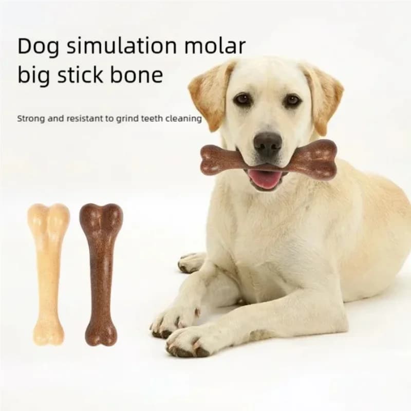 Giocattolo da Masticare a Forma di Osso per Cani, Gioco Interattivo per la Pulizia dei Denti, Giocattolo per l'Addestramento e la Cura Dentale di Cani e Cuccioli