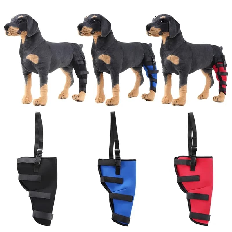 Ginocchiere per cani ginocchiere regolabili per animali domestici per gambe posteriori avvolgere lesioni recuperare le gambe protezione per cani prevenire leccare il cane forniture per animali domestici
