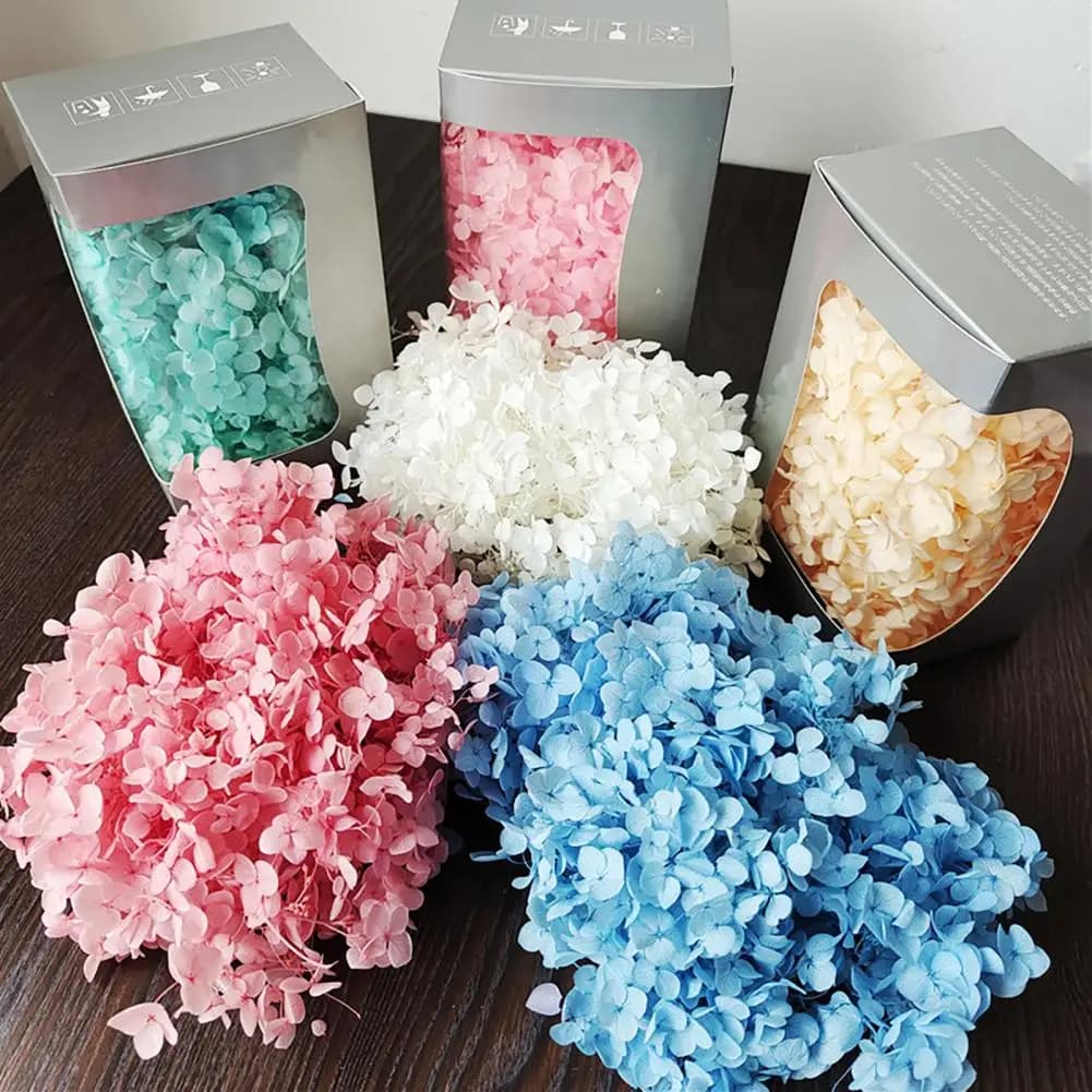 1 Box Hydrangea Dried Flowers Preserved Natural Realistic DIY Hydrangea Heads Wedding Favors