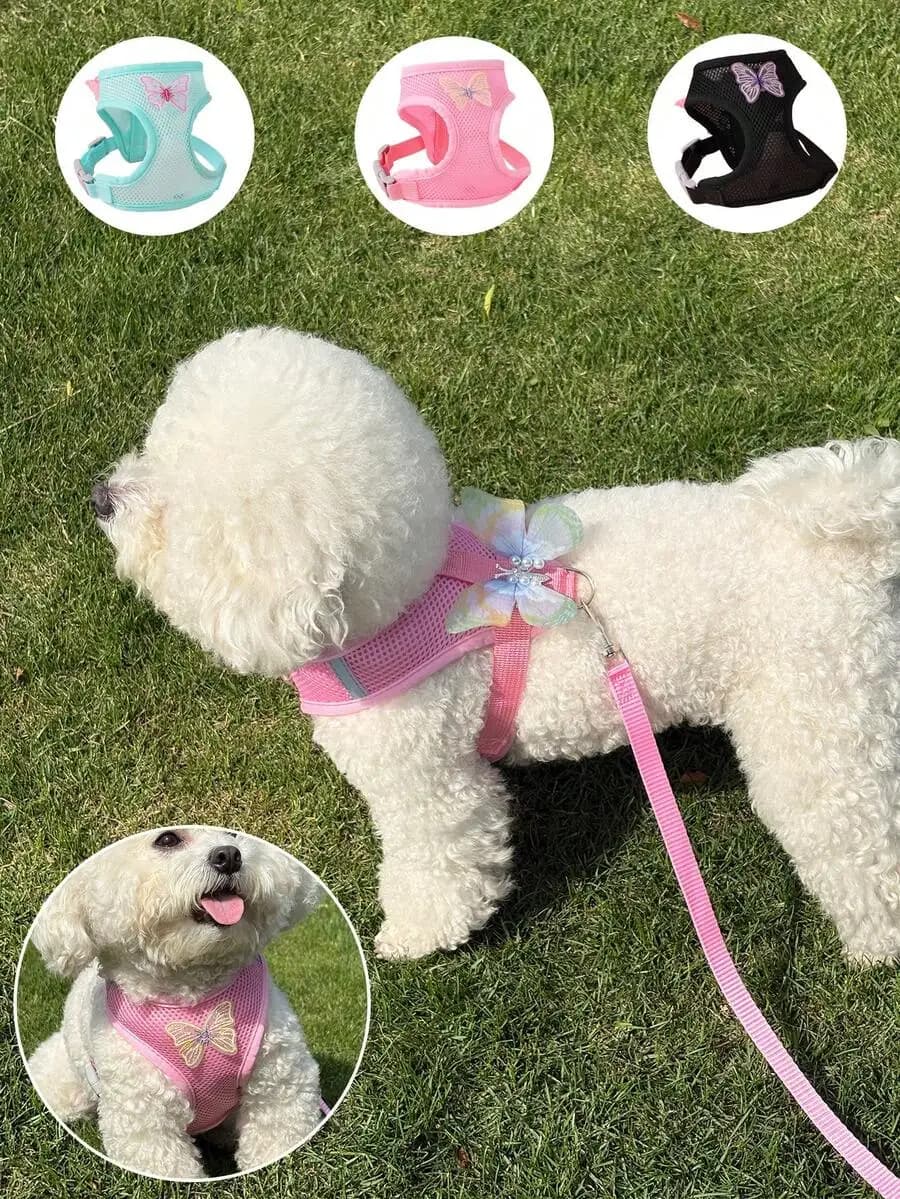 LANGXINGCS Set Elegante di Pettorina e Guinzaglio per Cani a Forma di Farfalla, in Poliestere, con Pettorina e Guinzaglio Staccabili