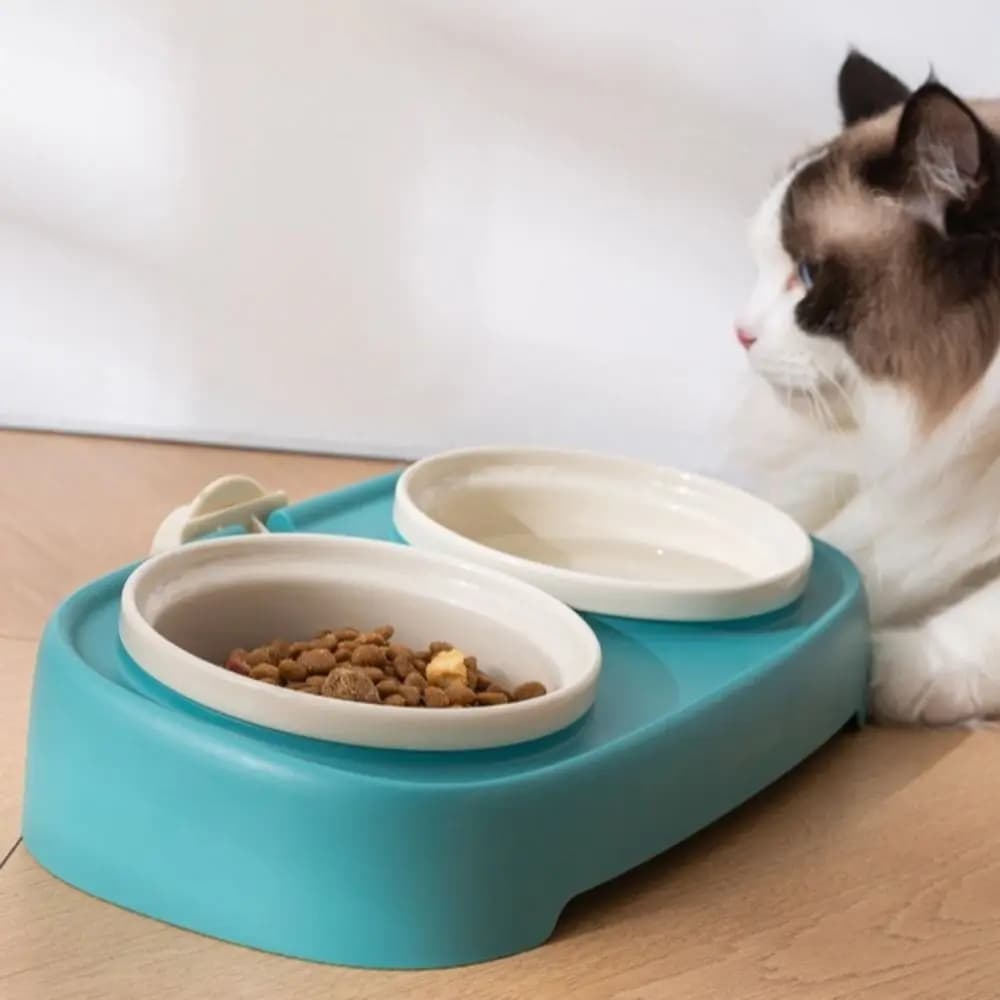 Ciotola Inclinata Multifunzionale per Animali Domestici, Montabile a Parete, Staccabile, Doppia Ciotola Anti-Ribaltamento per Gatti, Cani e Uccelli