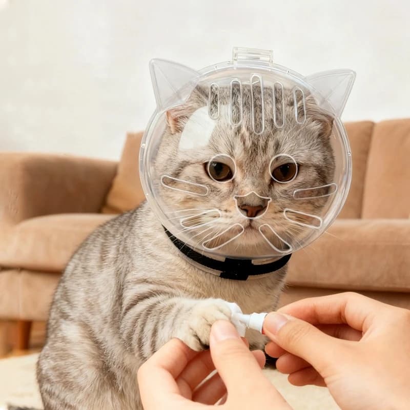 Casco Protettivo Traspirante a Forma di Palla per Toelettatura e Bagno di Animali Domestici, Anti-morso, Cappuccio Spaziale per Gattini, Copricapo per Gatti, Accessori per Animali