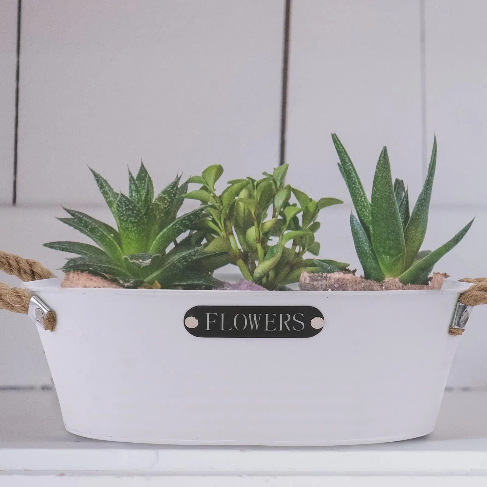 Vaso per Fiori in Ferro, Design Elegante e Creativo, Supporto Antiscivolo per Piante Succulente, Decorazione per Casa, Balcone, Giardino, Uso Interno ed Esterno
