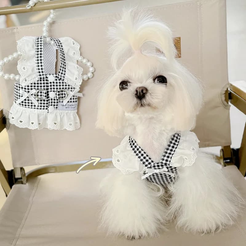 Pizzo moda Pet stile pastorale nero Plaid cucciolo vestiti imbracatura cane gatto imbracatura universale Tractionable Retro Princess Dress