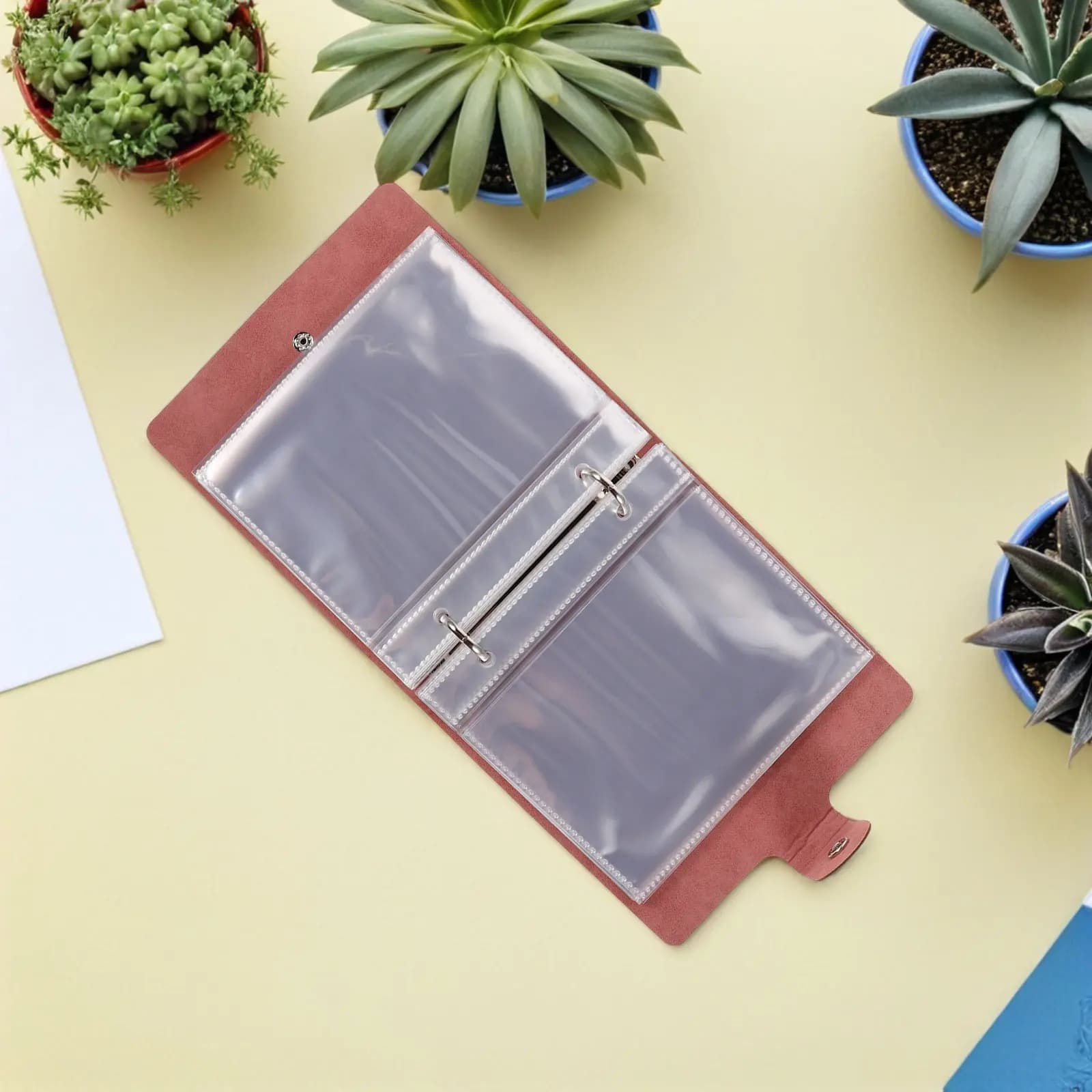 Set di 1 Organizzatore per Semi con 25 Tasche Trasparenti e 50 Bustine per Semi, Organizzatore per Bustine di Semi di Fiori e Verdure da Giardino