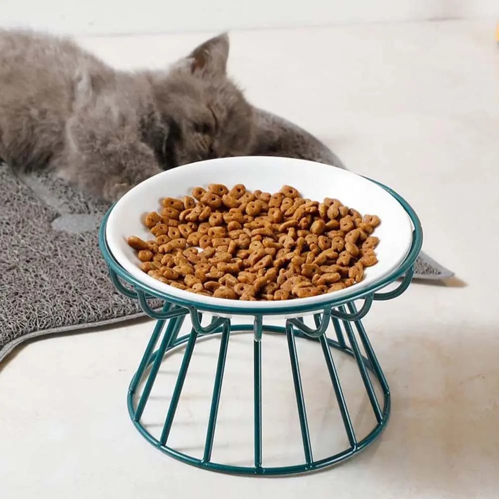 Ciotola Rialzata per Cibo e Acqua per Cani e Gatti, Contenitore per Alimenti e Acqua per Cuccioli e Gattini, Accessori per Animali Domestici