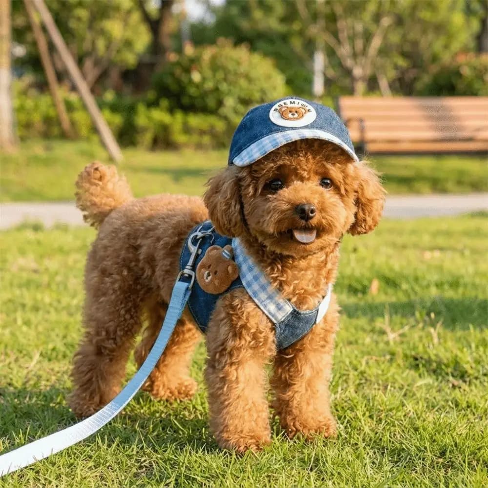 Breathable Pet Harness Leash Set with Hat Adjustable Dog Walking Vest Durable Comfortable Cartoon Pet Set Daily Walk