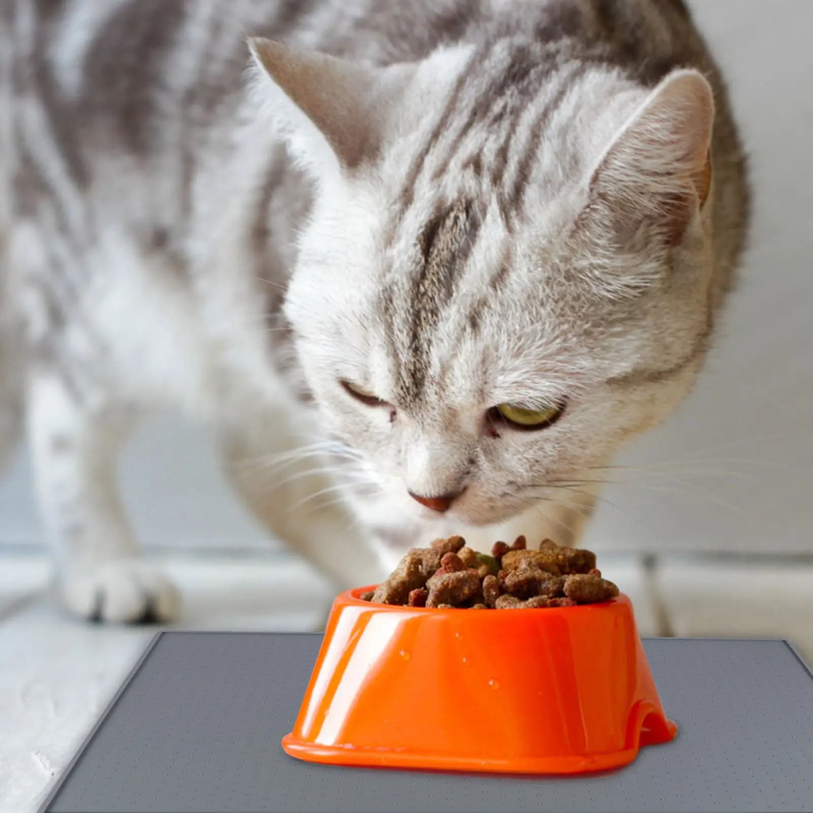Tappetino Premium in Silicone per Alimentazione Animali Domestici, Antiscivolo, Impermeabile, Lavabile in Lavastoviglie, Sottobicchiere per Ciotole di Cani e Gatti, Mantiene il Pavimento Pulito