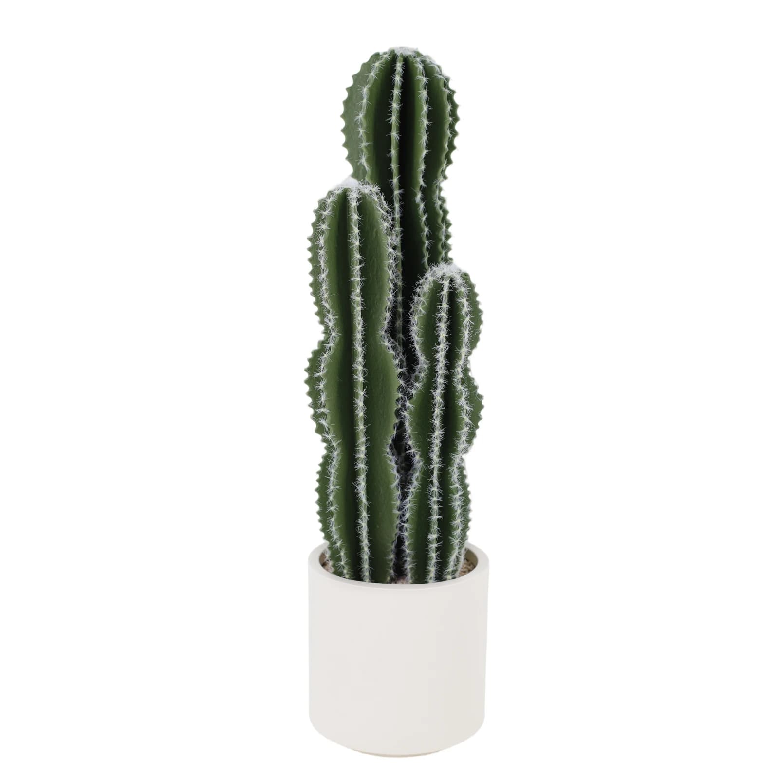 Artificial Cactus Plant, Fin Vase Desert Cactus, High Fin Plant with Realistic Texture for Home Decoration