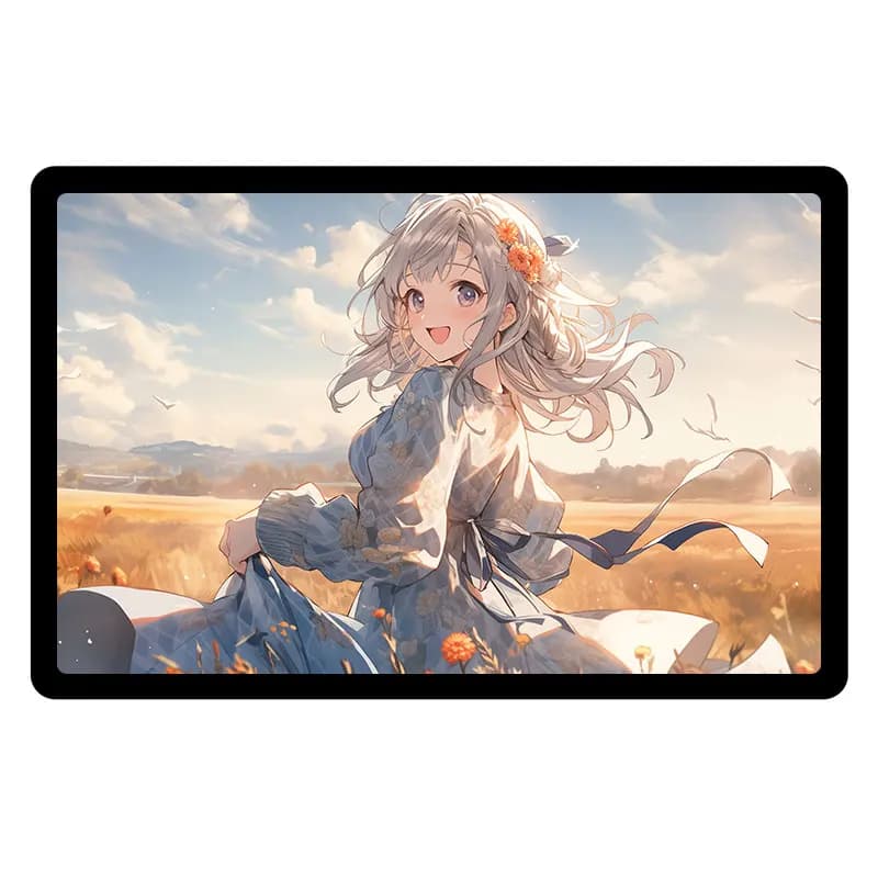 Raspberry Pi 11 inch HDMI LCD Captive TouchScreen Display 11inch For Jetson Series/Computer PC 1920x1200