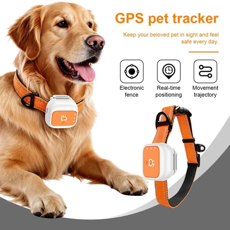 Mini localizzatore GPS per animali domestici Dispositivo anti-smarrimento intelligente globale 4G LTE con avviso SOS e percorso di storia della recinzione geografica per cani gatti iOS Android
