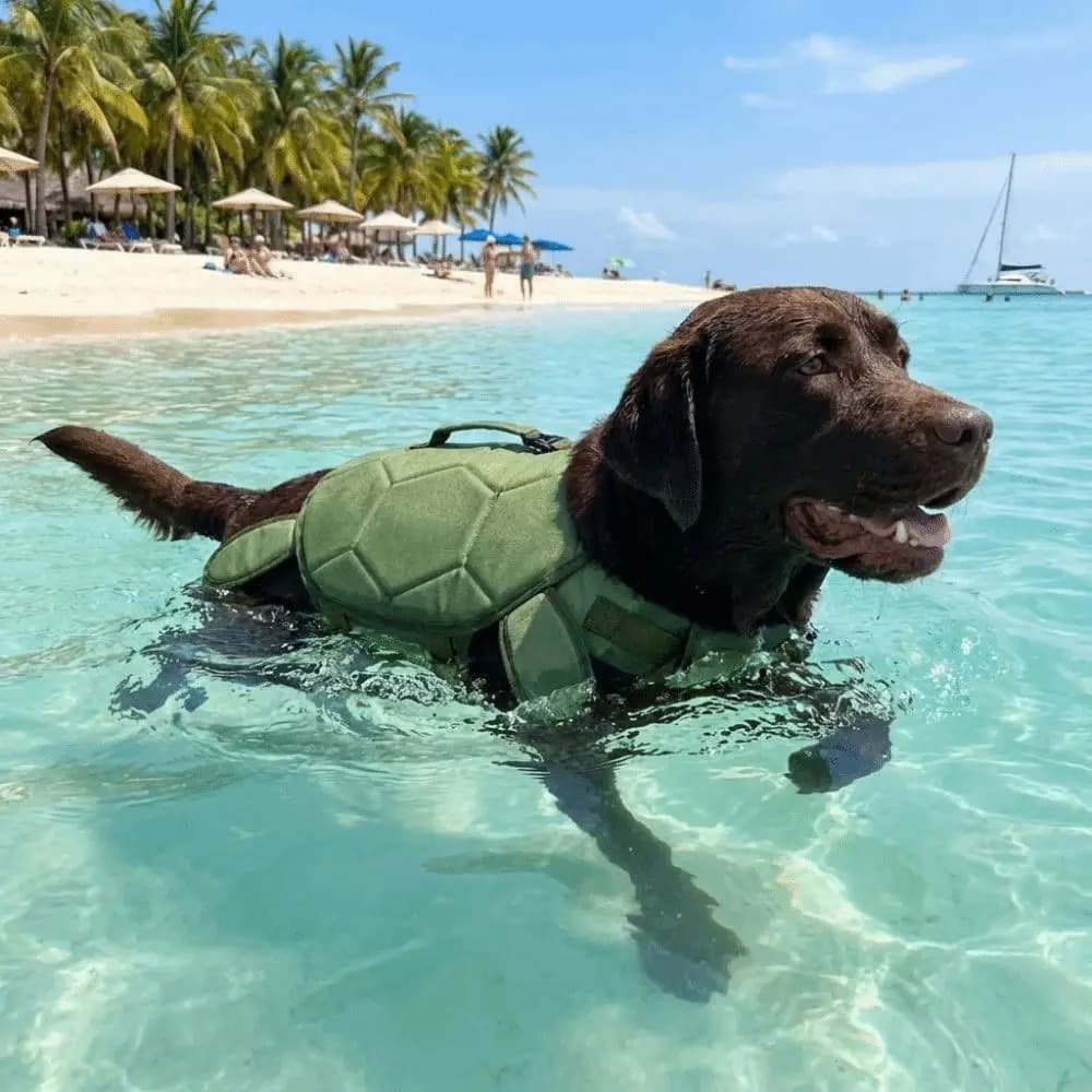 Giubbotto di Salvataggio per Cani a Forma di Tartaruga, Regolabile con Maniglia Portatile, Gilet di Sicurezza Riflettente per Cani, Abbigliamento da Surf per Cani